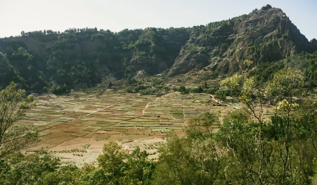 Cova de Paul